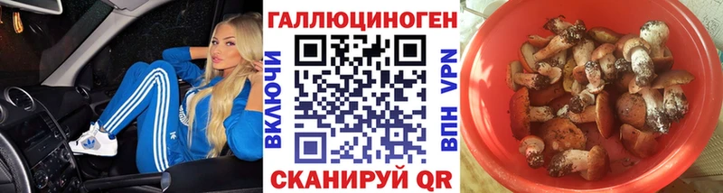 дарнет шоп  МЕГА ONION  Псилоцибиновые грибы ЛСД  Зеленоградск 